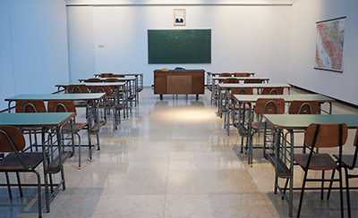 Experienced faculty and student guidance